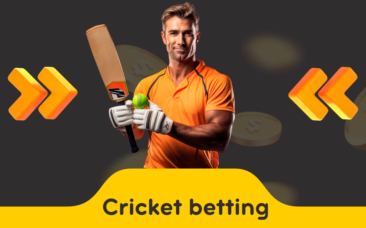 Bet on the Best Cricket Matches with 96in